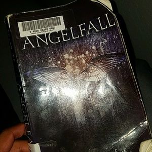 Angelfall book